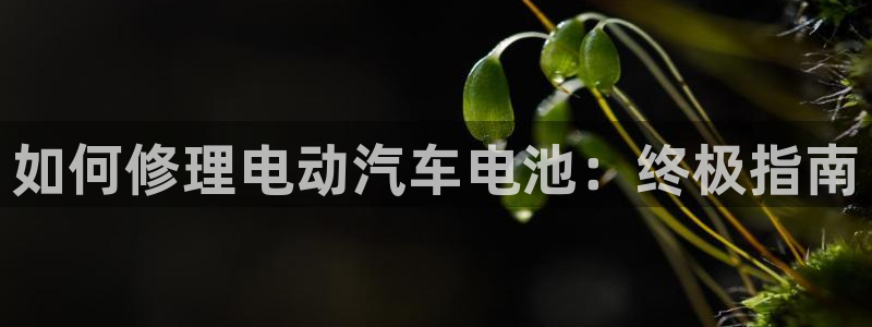优发国际下载