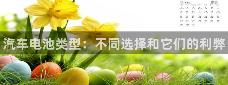 优发国际网官网17w80是什么：汽车电池类型：不同选择和它们的利弊