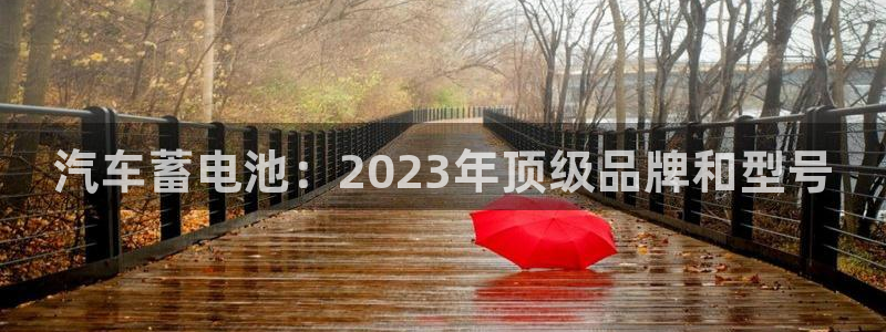 优发国际手机登录下载安装苹果：汽车蓄电池：2023年顶级品牌和型号