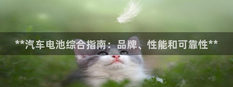 优发国际平台18岁能做吗：**汽车电池综合指南：品牌、性能和可靠性**