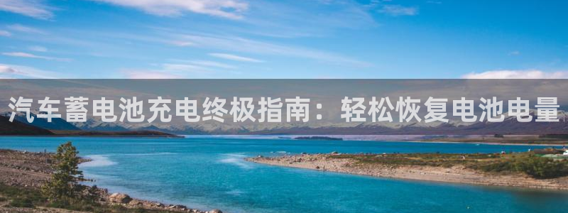 优发国际app登录不了：汽车蓄电池充电终极指南：轻松恢复电池电量