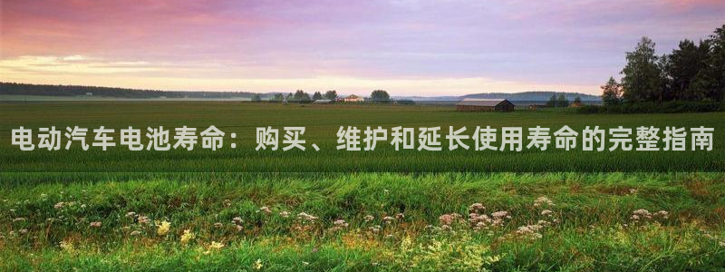 优发国际安卓版下载安装最新版：电动汽车电池寿命：购买、维护和延长使用寿命的完整指南
