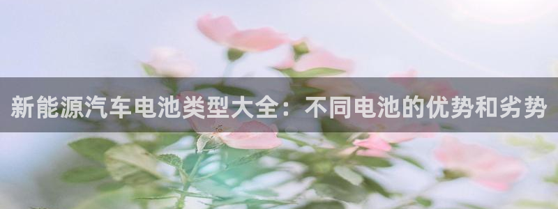 优发国际提现不了：新能源汽车电池类型大全：不同电池的优势和劣势