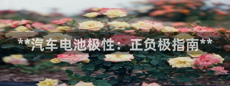 优发国际网站多少：**汽车电池极性：正负极指南**