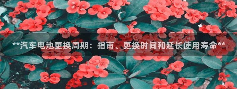 优发国际是合法的吗：**汽车电池更换周期：指南、更换时间和延长使用寿命**
