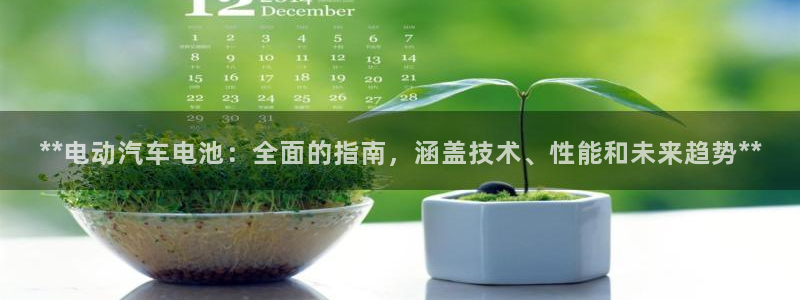 优发国际官方网手机版下载安卓：**电动汽车电池：全面的指南，涵盖技术、性能和未来趋势**