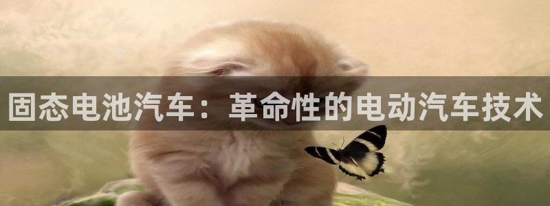 优发国际登录l8：固态电池汽车：革命性的电动汽车技术