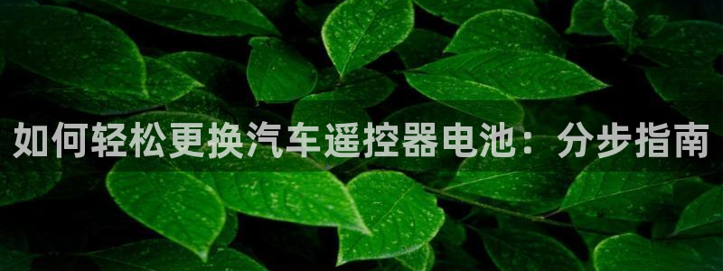 优发国际app登录密码
