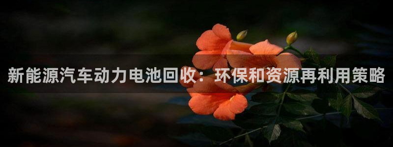 优发国际官网下载手机版：新能源汽车动力电池回收：环保和资源再利用策略