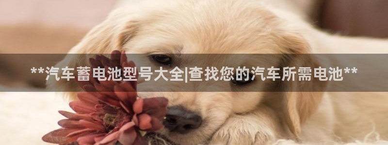 优发国际集团股份有限公司官网：**汽车蓄电池型号大全|查找您的汽车所需电池**