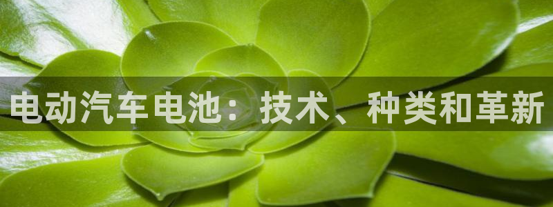 优发国际平台g8：电动汽车电池：技术、种类和革新