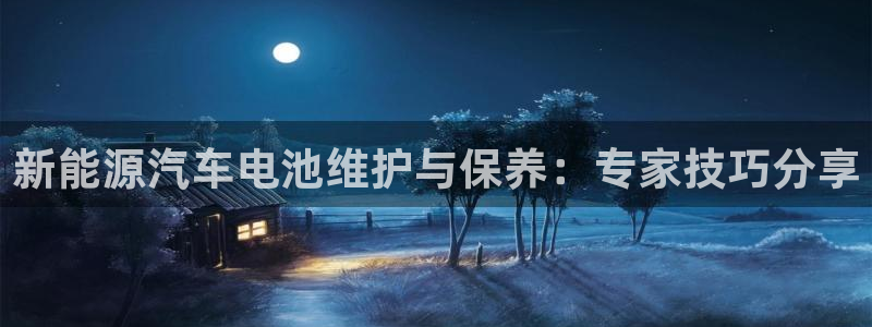 优发国际这个平台怎么样：新能源汽车电池维护与保养：专家技巧分享