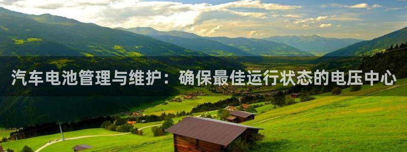 优发国际平台手机版下载官网：汽车电池管理与维护：确保最佳运行状态的电压中心