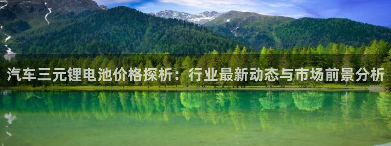 优发国际合并到哪里了啊：汽车三元锂电池价格探析：行业最新动态与市场前景分析