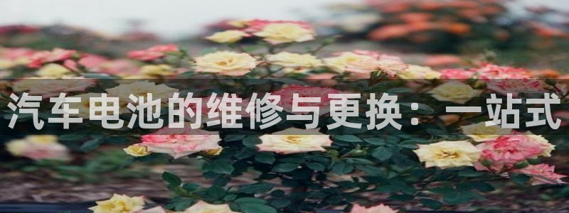 优发国际不出款了吗：汽车电池的维修与更换：一站式