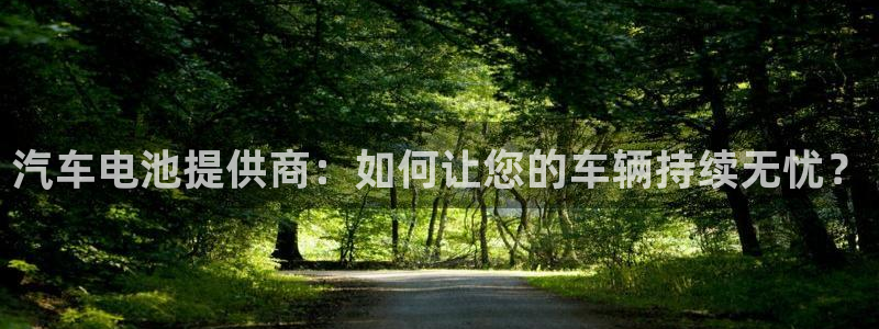 优发国际手机版下载安装：汽车电池提供商：如何让您的车辆持续无忧？