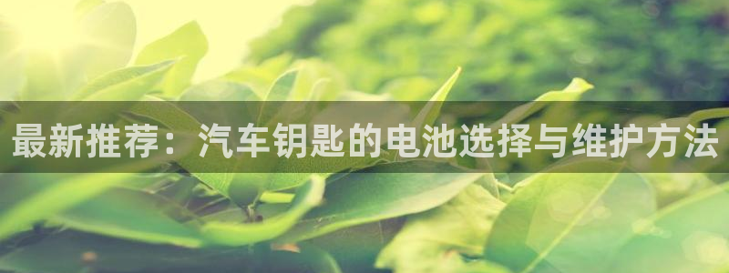 优发国际客服联系方式是什么：最新推荐：汽