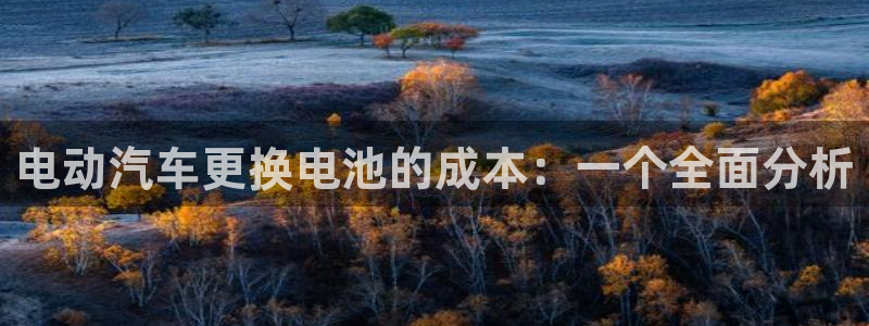 优发国际集团股份有限公司是国企吗：电动汽车更换电池的成本：一个全面分析