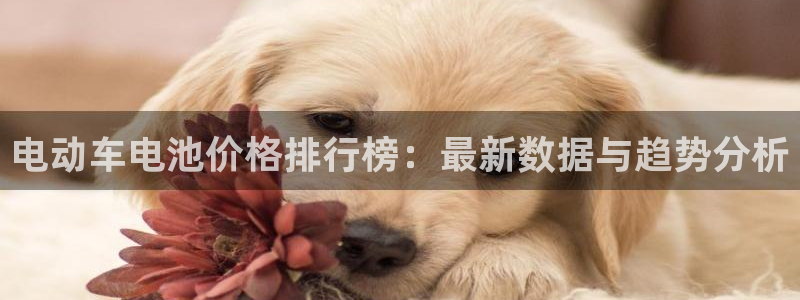 优发国际顶级：电动车电池价格排行榜：最新数据与趋势分析