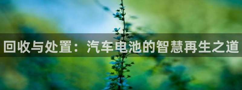 优发国际网官网17o8：回收与处置：汽车电池的智慧再生之道