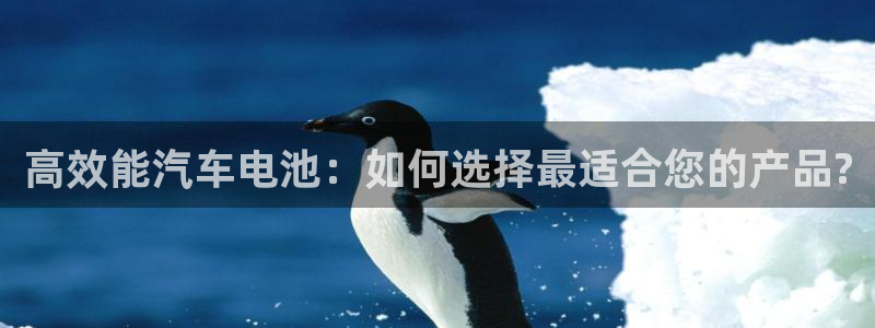 优发娱乐pt官网客户端：高效能汽车电池：如何选择最适合您的产品?