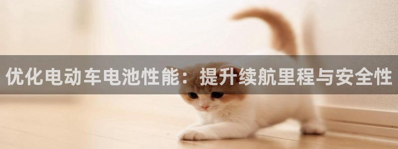 优发国际是合法的吗安全吗：优化电动车电池性能：提升续航里程与安全性