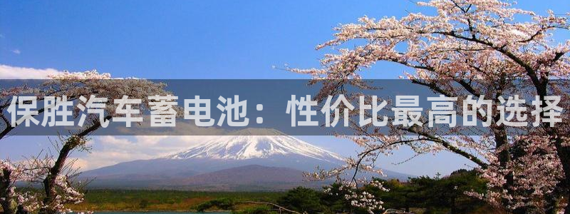 优发游戏官网：保胜汽车蓄电池：性价比最高的选择