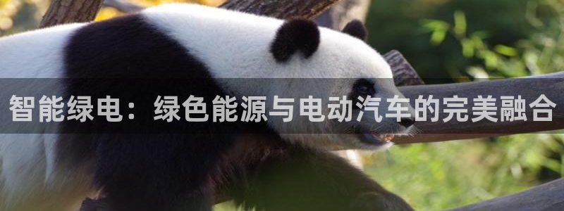 优发国际app官网下载安装