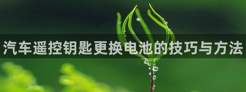 优发娱乐国际线上：汽车遥控钥匙更换电池的技巧与方法