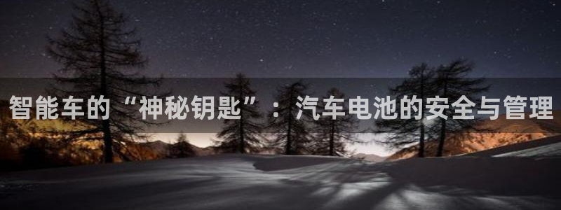 优发国际平台u8是什么软件：智能车的“神秘钥匙”：汽车电池的安全与管理