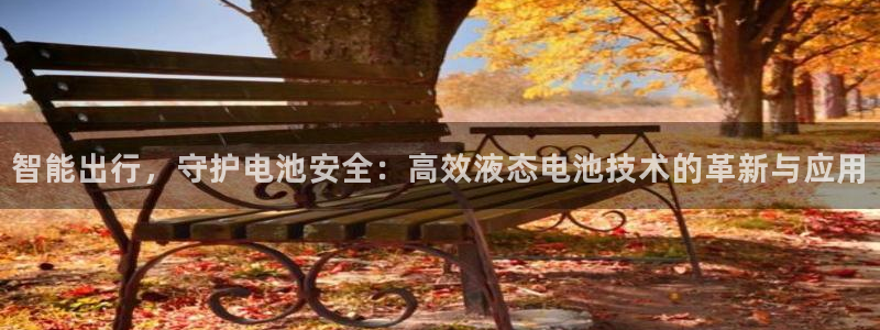 优发国际平台u8是什么公司：智能出行，守护电池安全：高效液态电池技术的革新与应用