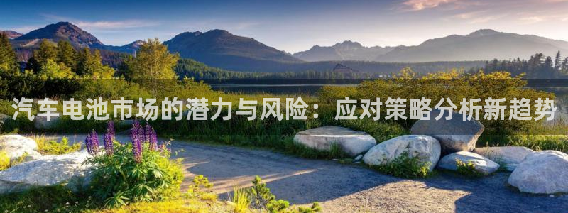 优发国际是大平台吗还是小平：汽车电池市场的潜力与风险：应对策略分析新趋势