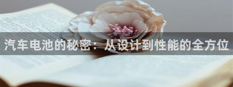 优发国际游戏：汽车电池的秘密：从设计到性能的全方位