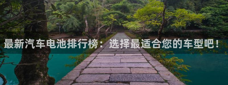 优发国际官网网站入口：最新汽车电池排行榜：选择最适合您的车型吧！