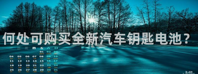 优发娱乐国际线上营业时间：何处可购买全新汽车钥匙电池？