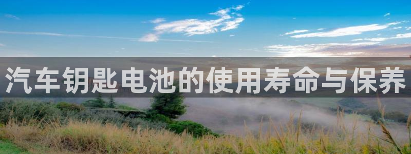 优发国际官网手机版下载：汽车钥匙电池的使用寿命与保养