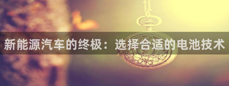 优发国际登录：新能源汽车的终极：选择合适