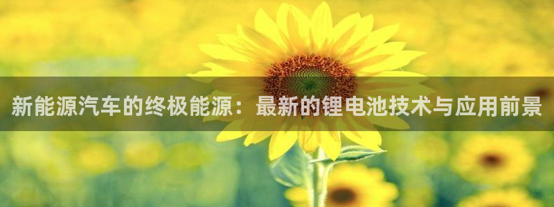 优发国际顶级
