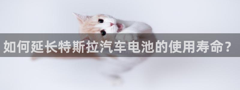 优发娱乐pc版官网