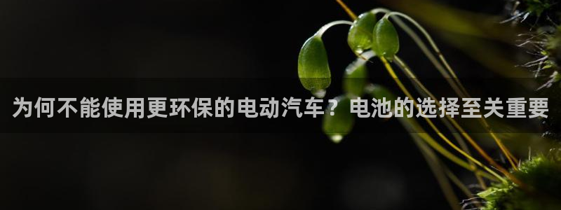 优发娱乐pc版官网