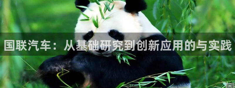 优发国际登录首页怎么设置