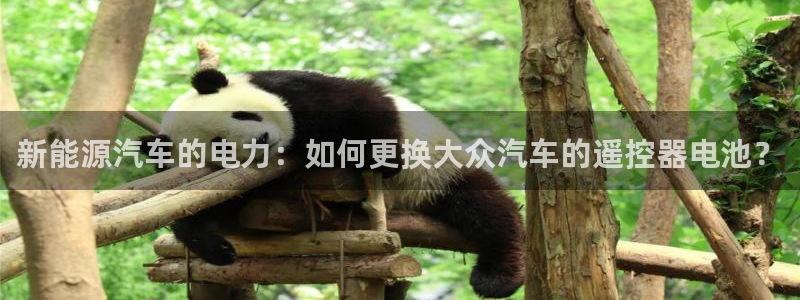 优发国际平台app下载安装
