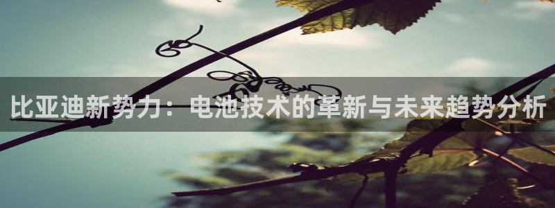 优发国际app官网下载安装
