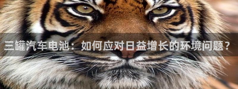 优发国际免费游戏下载：三罐汽车电池：如何应对日益增长的环境问题？