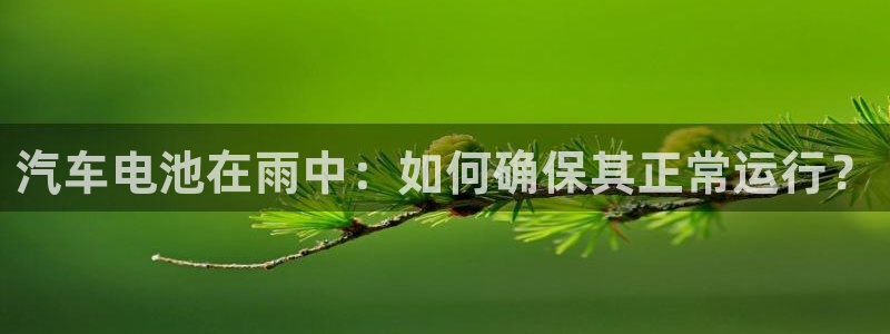 优发国际官网手机版下载安装：汽车电池在雨