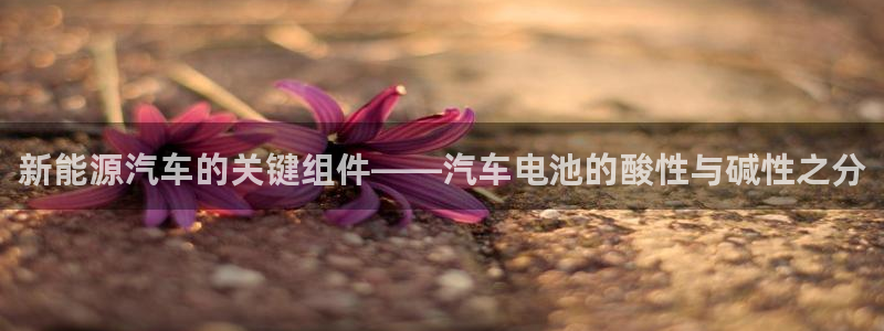 优发国际app官网下载安装手机版：新能源