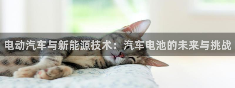 优发国际集团股份有限公司招聘：电动汽车与新能源技术：汽车电池的未来与挑战