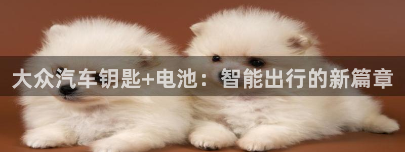 优发国际网官网17q8：大众汽车钥匙+电池：智能出行的新篇章