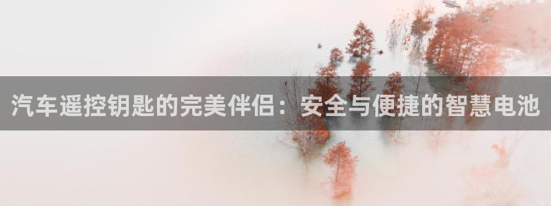 优发国际手机安装登录：汽车遥控钥匙的完美伴侣：安全与便捷的智慧电池