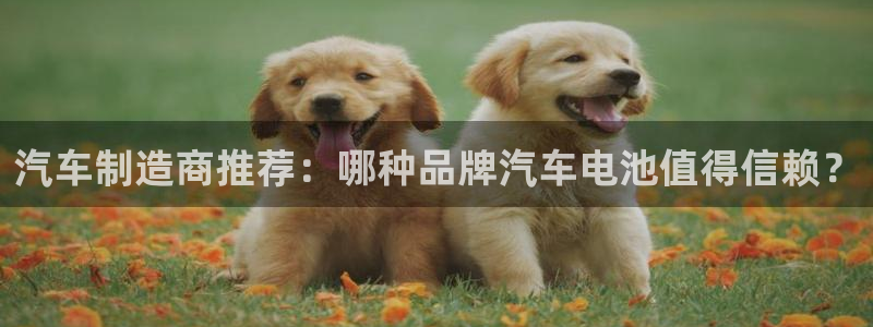 优发国际下载app